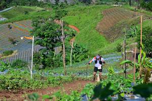 BIB: 1460
                            <button type="button" onclick="openModal(13379124)" class="btn btn-primary btn-sm float-right btn-popup" data-toggle="modal" data-target=".modal-high-quality">
                        <i class="fas fa-shopping-cart"></i> Add to Cart
                    </button>
                                            <button type="button" onclick="isThisMe(13379124, true)" class="btn btn-success btn-sm float-right btn-popup btn-isme hidden" data-toggle="tooltip" data-placement="bottom" title="นี่คือรูปของคุณใช่ไหม คลิกที่นี่เพื่อเอาเข้าอัลบั้ม">
                        <i class="fas fa-plus"></i> Add to album
                    </button>
                    <button type="button" onclick="isThisMe(13379124, false)" class="btn btn-warning btn-sm float-right btn-popup btn-isnotme hidden">
                        <i class="fas fa-ban"></i> Remove from album
                    </button>